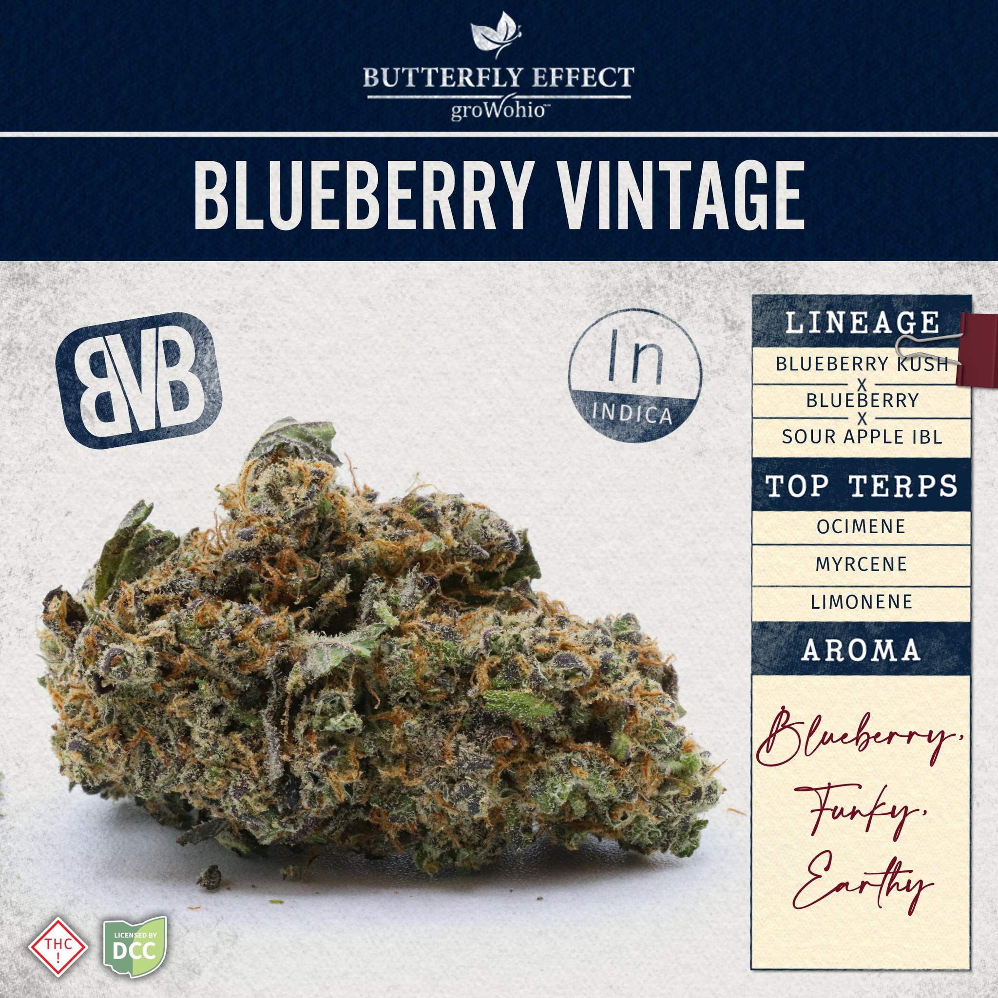 Blueberry Vintage - 2.83g Whole Buds - Indica