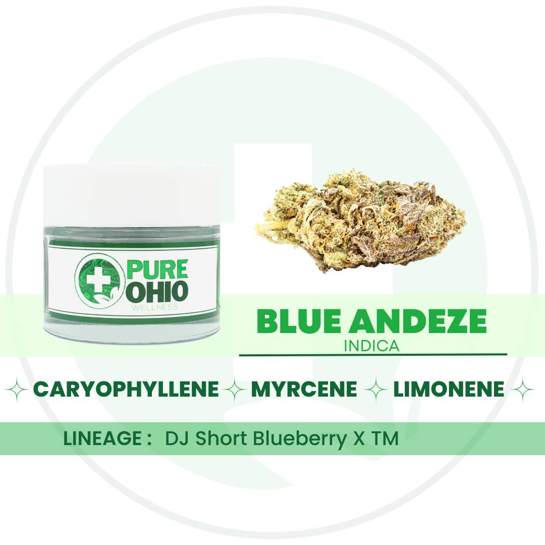 Blue Andeze - 2.83g Whole Buds - Hybrid