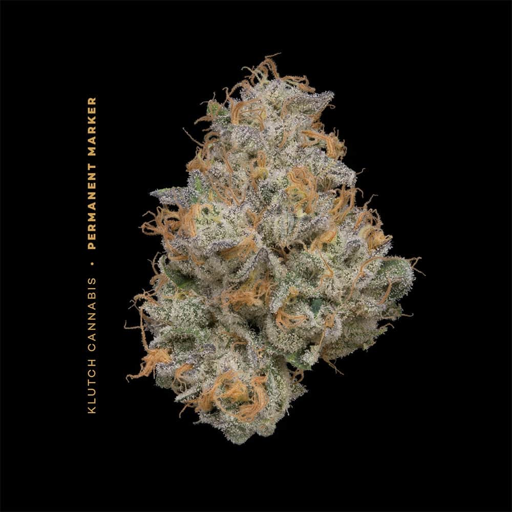 Permanent Marker - 2.83g Whole Buds - Indica