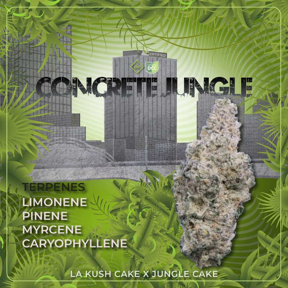 Concrete Jungle - 2.83g Whole Buds - Hybrid