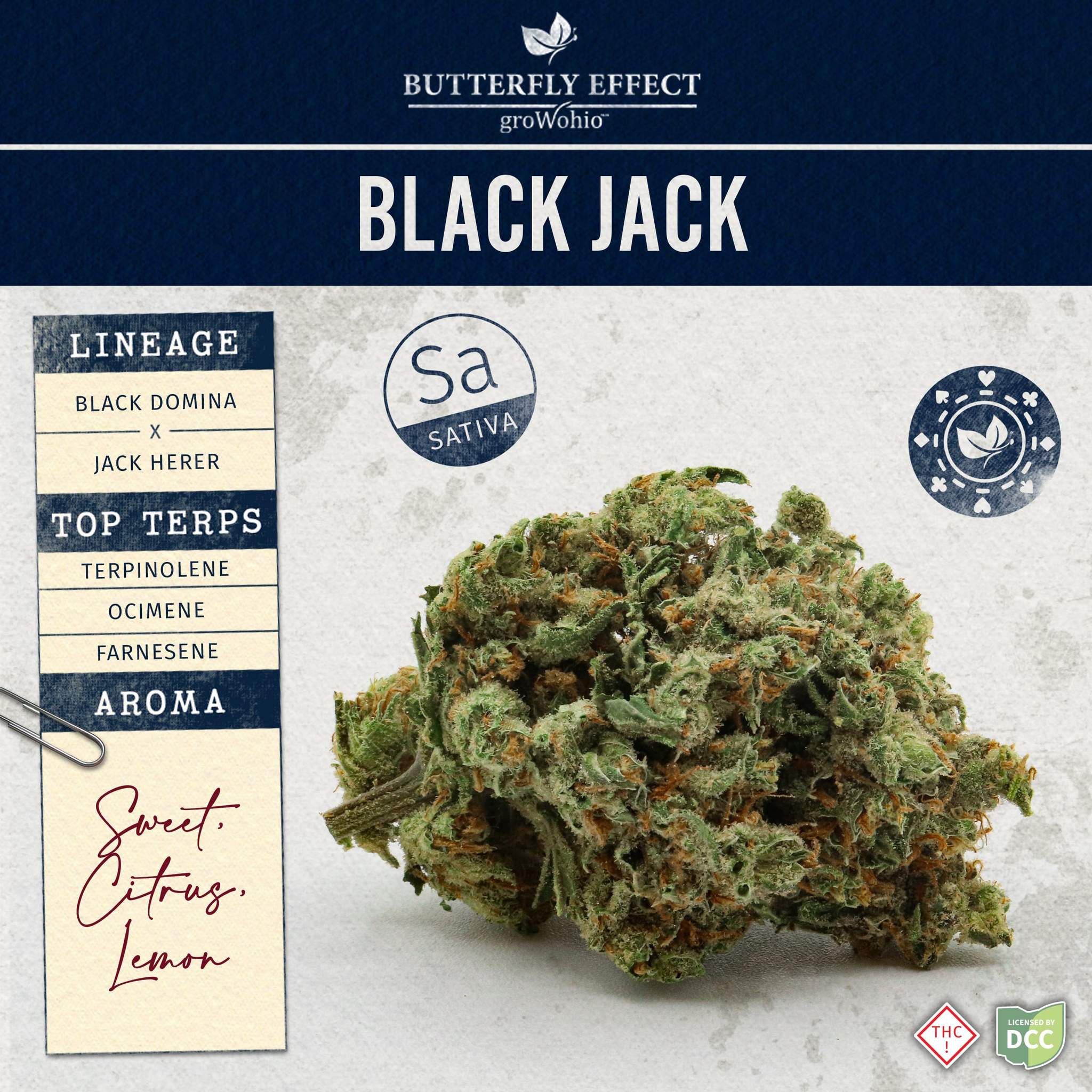 Black Jack - 2.83g Whole Buds - Sativa