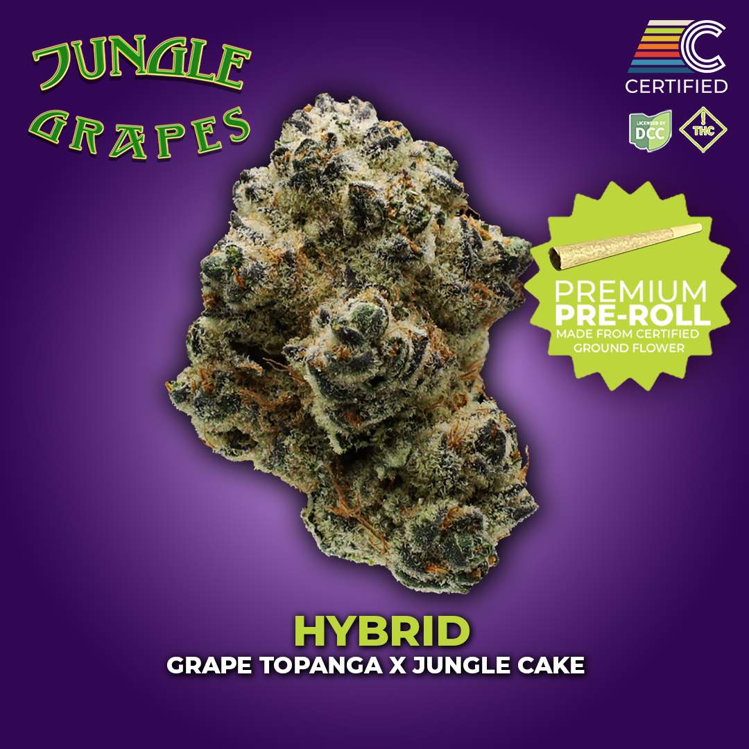 Jungle Grapes - 1g Single - Hybrid