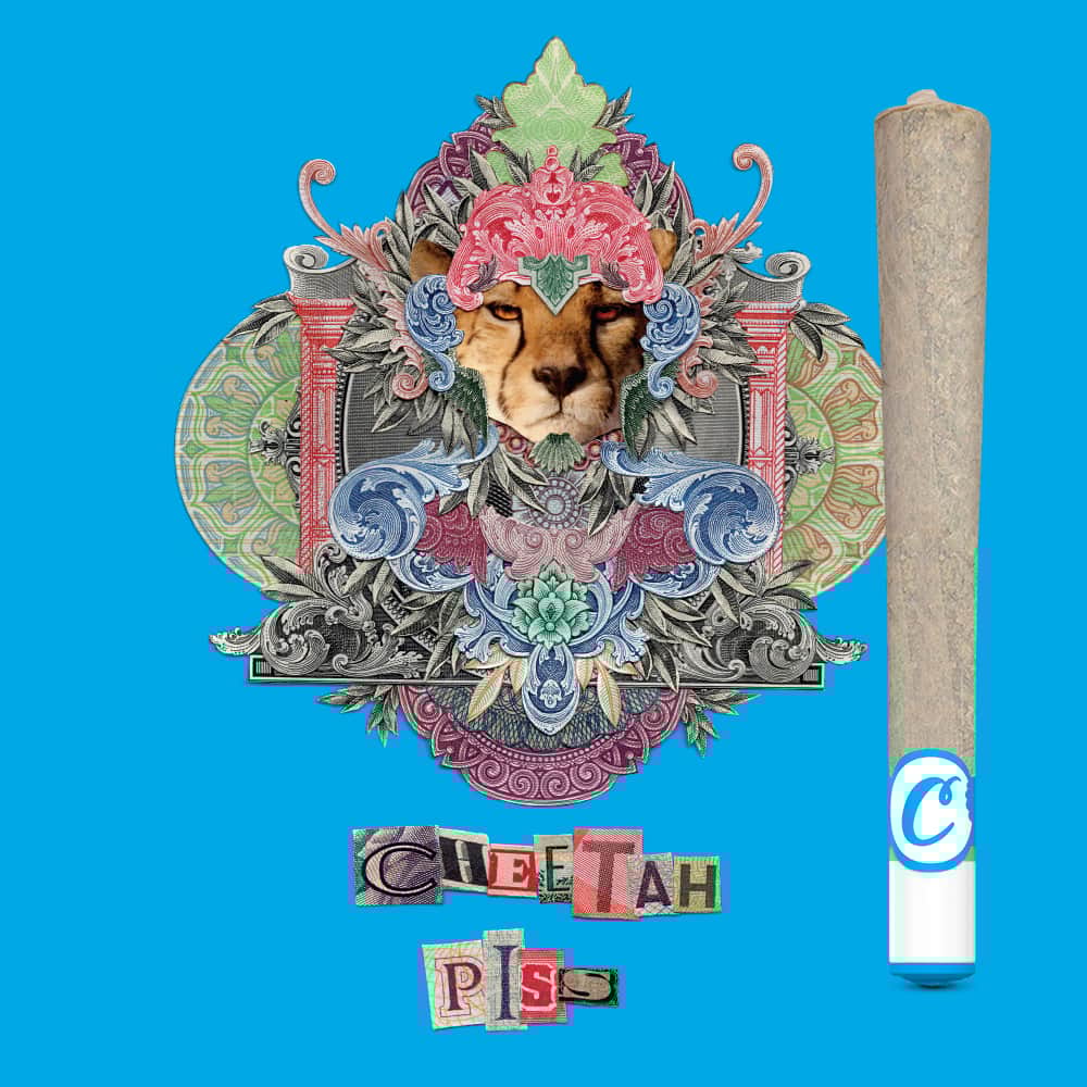 Cheetah P - 1g Single - Sativa