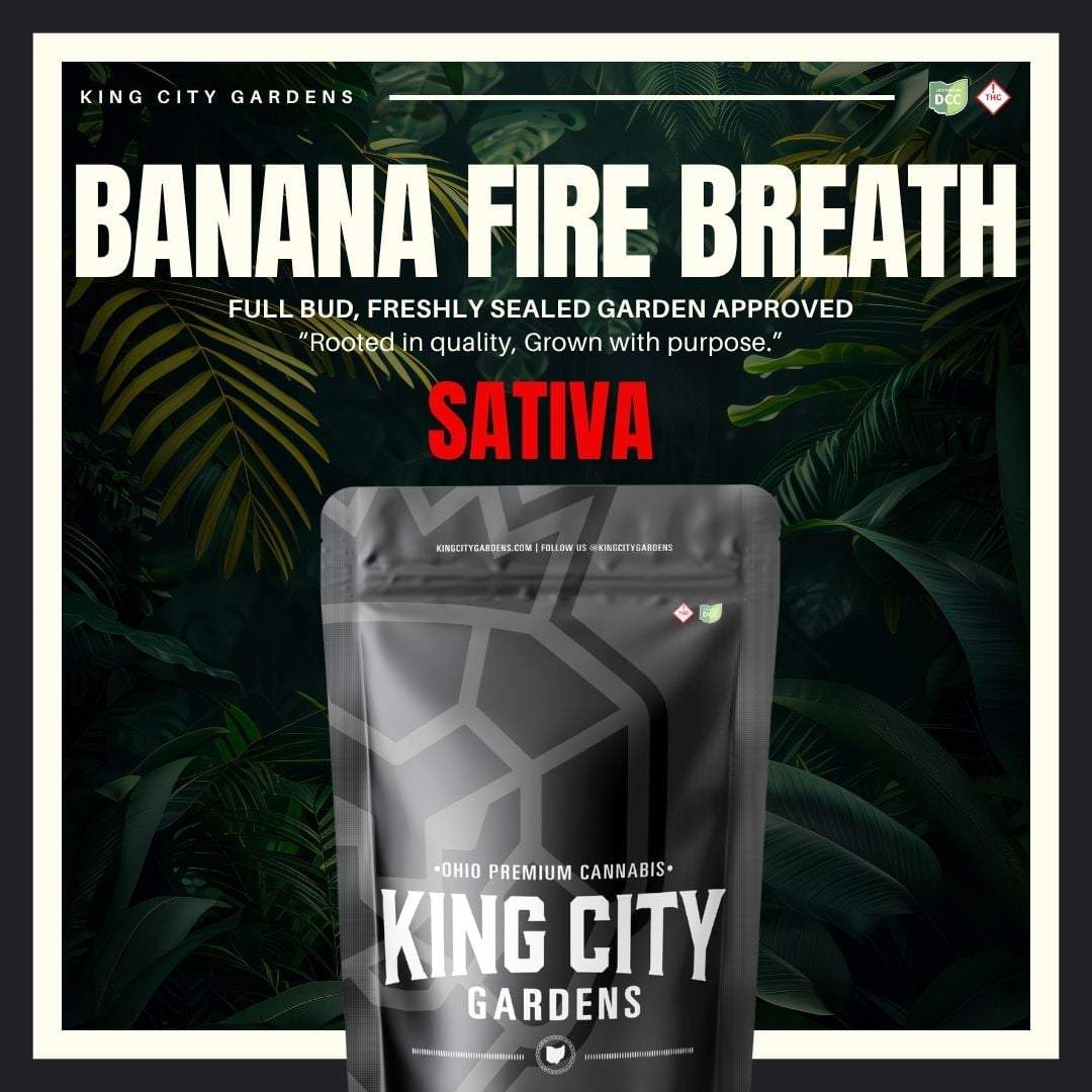 Banana Fire Breath - 14.15g Whole Buds - Sativa