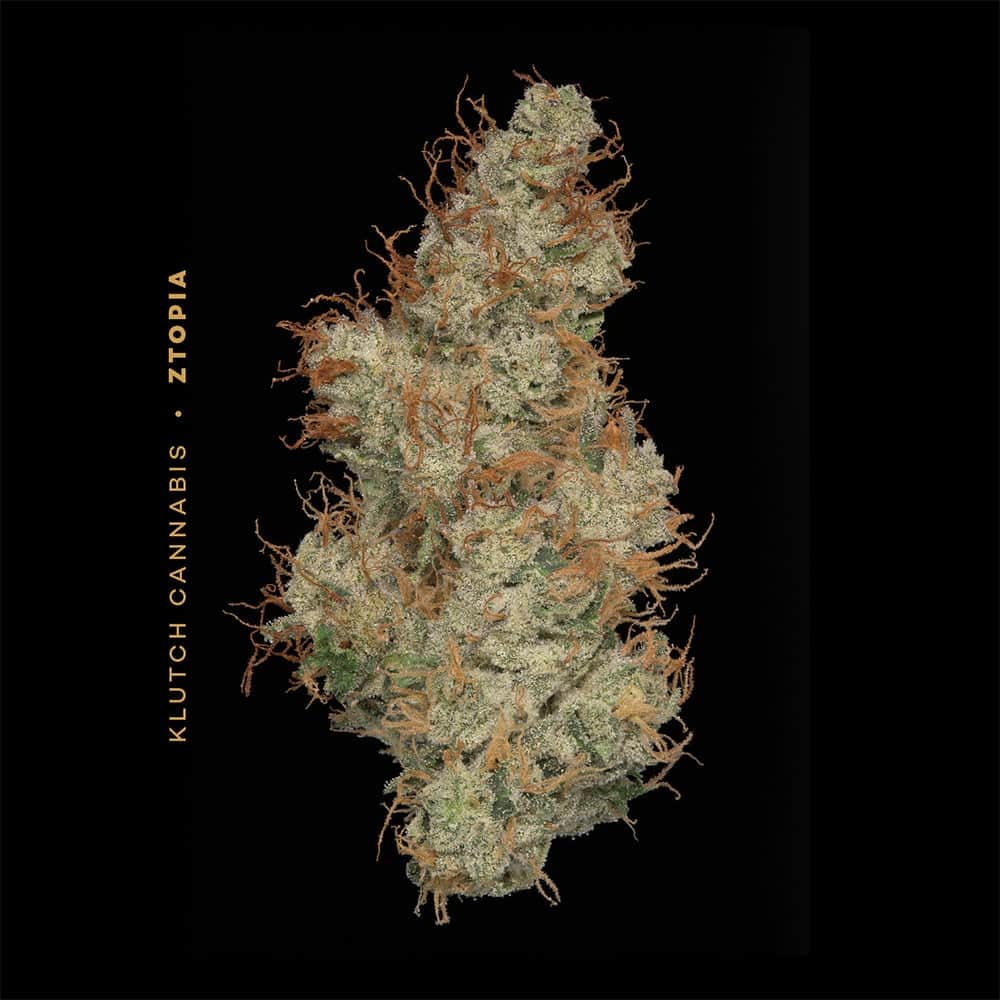 Ztopia - 2.83g Whole Buds - Indica