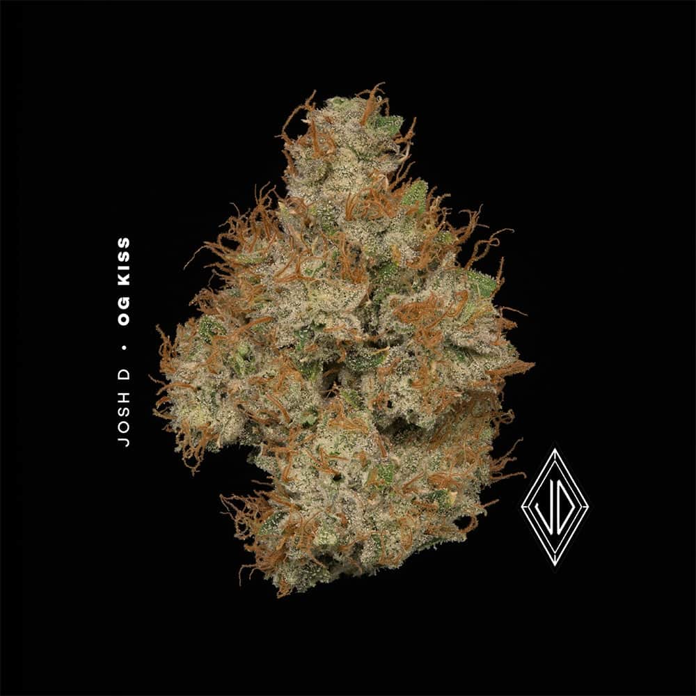 Og Kiss - 2.83g Whole Buds - Indica