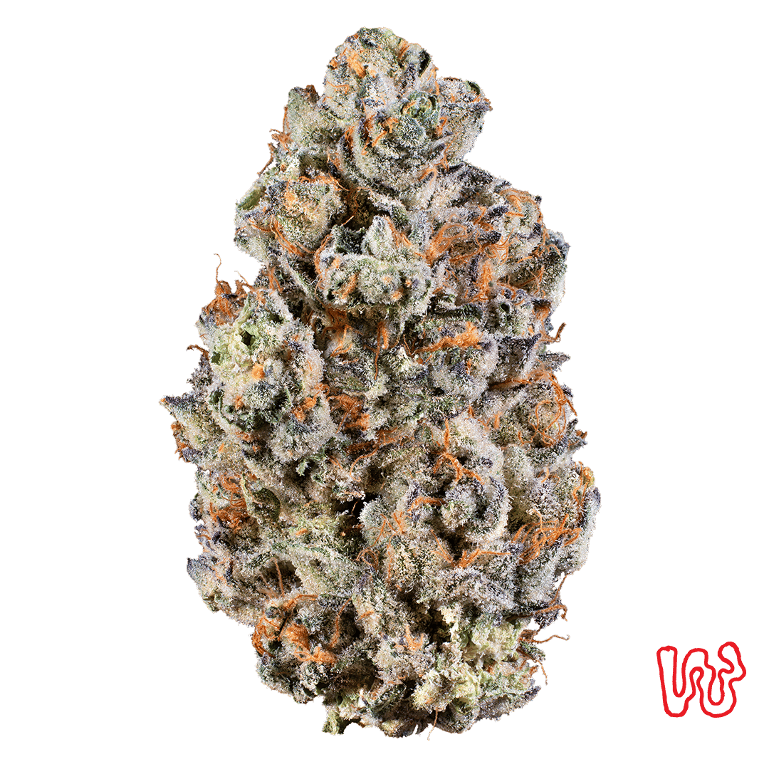 Lemon Cherry Sherbert - 14.15g Smalls - Indica