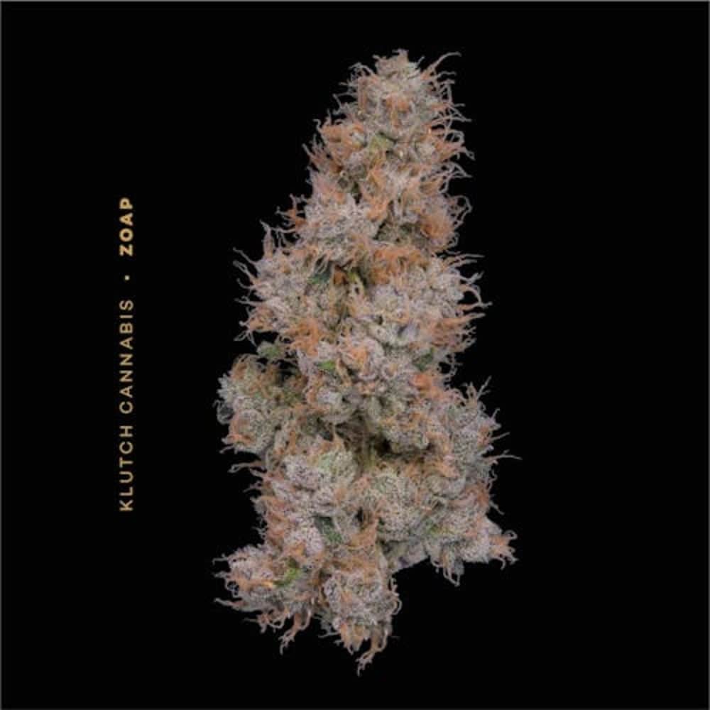 Zoap - 2.83g Whole Buds - Hybrid