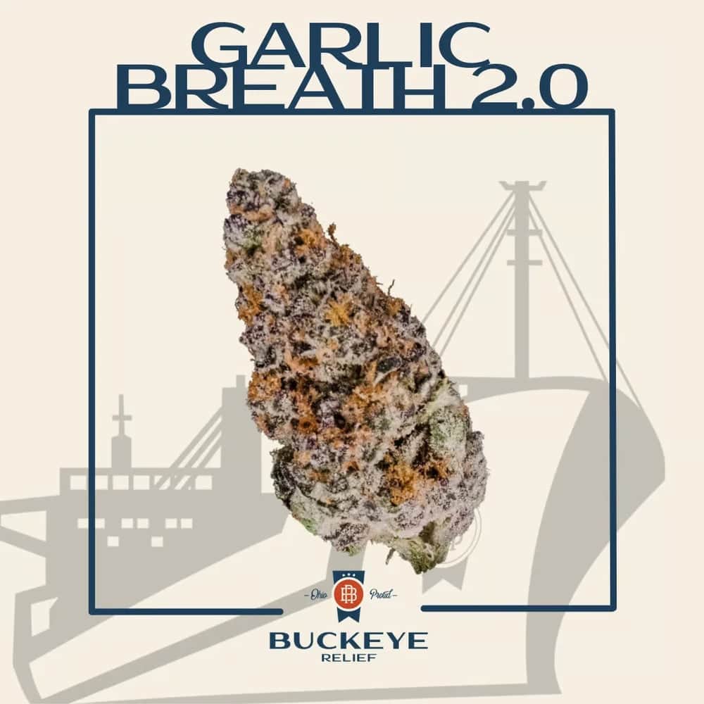 Garlic Breath 2.0 - 2.83g Whole Buds - Indica