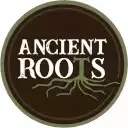 Ancient Roots