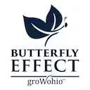 Butterfly Effect