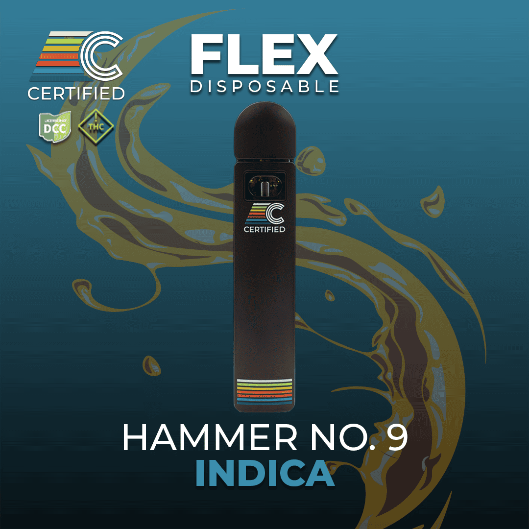 Hammer No. 9