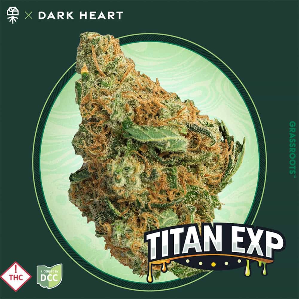 Titan Exp.
