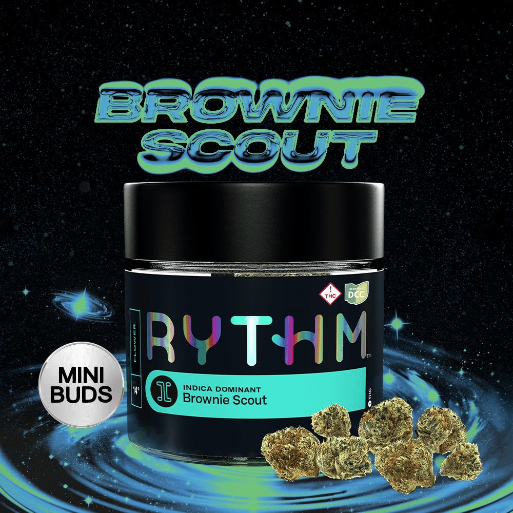 Brownie Scout