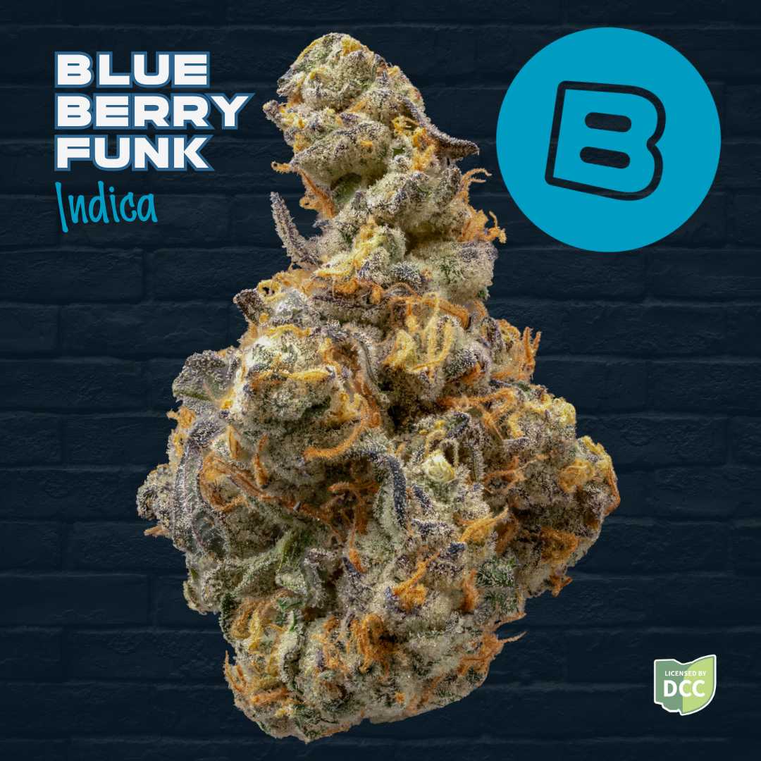 Blueberry Funk