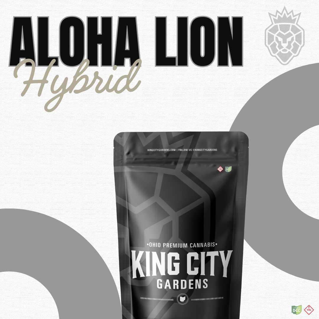 Aloha Lion