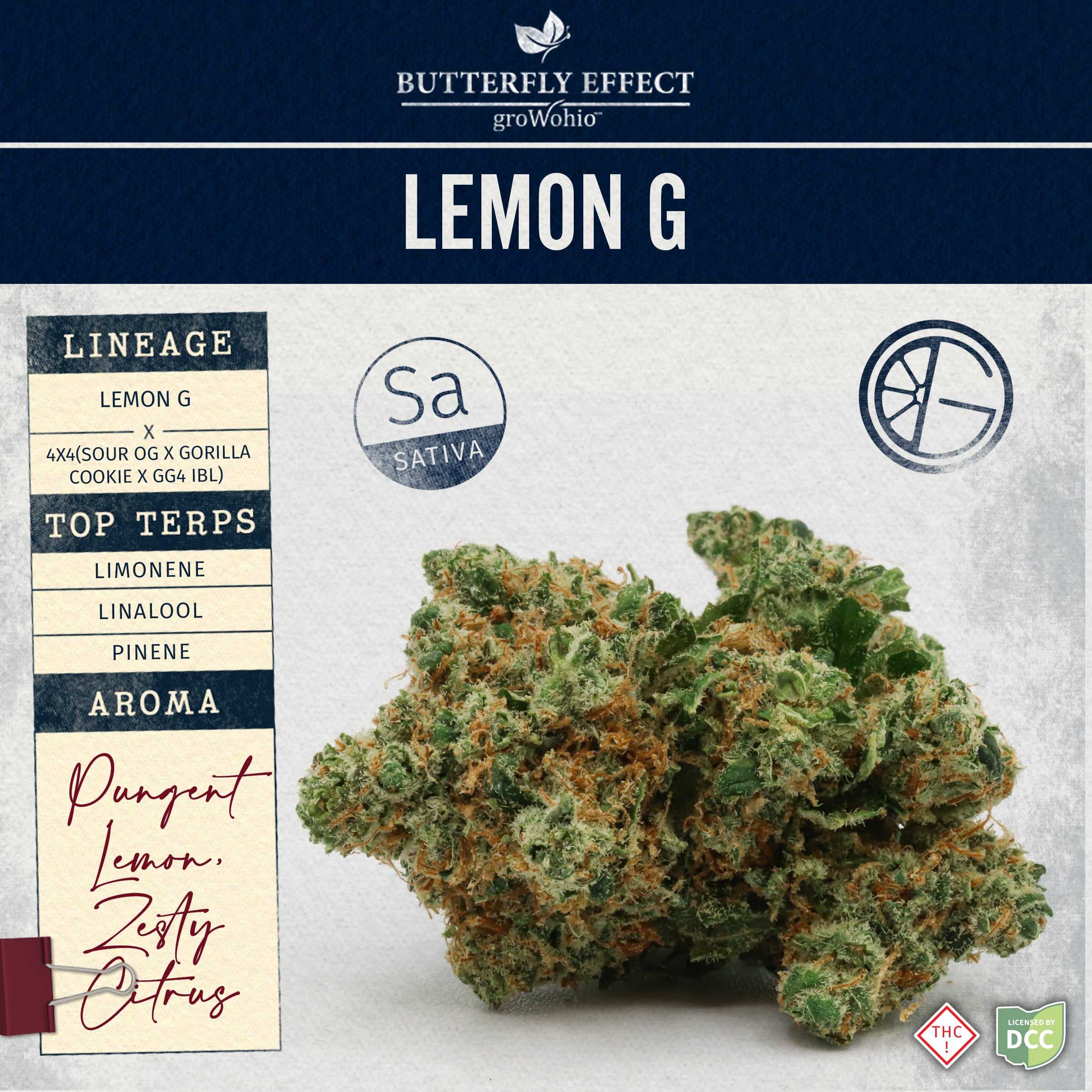 Lemon G