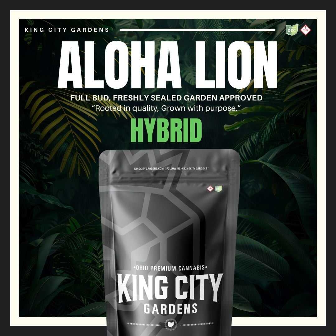 Aloha Lion