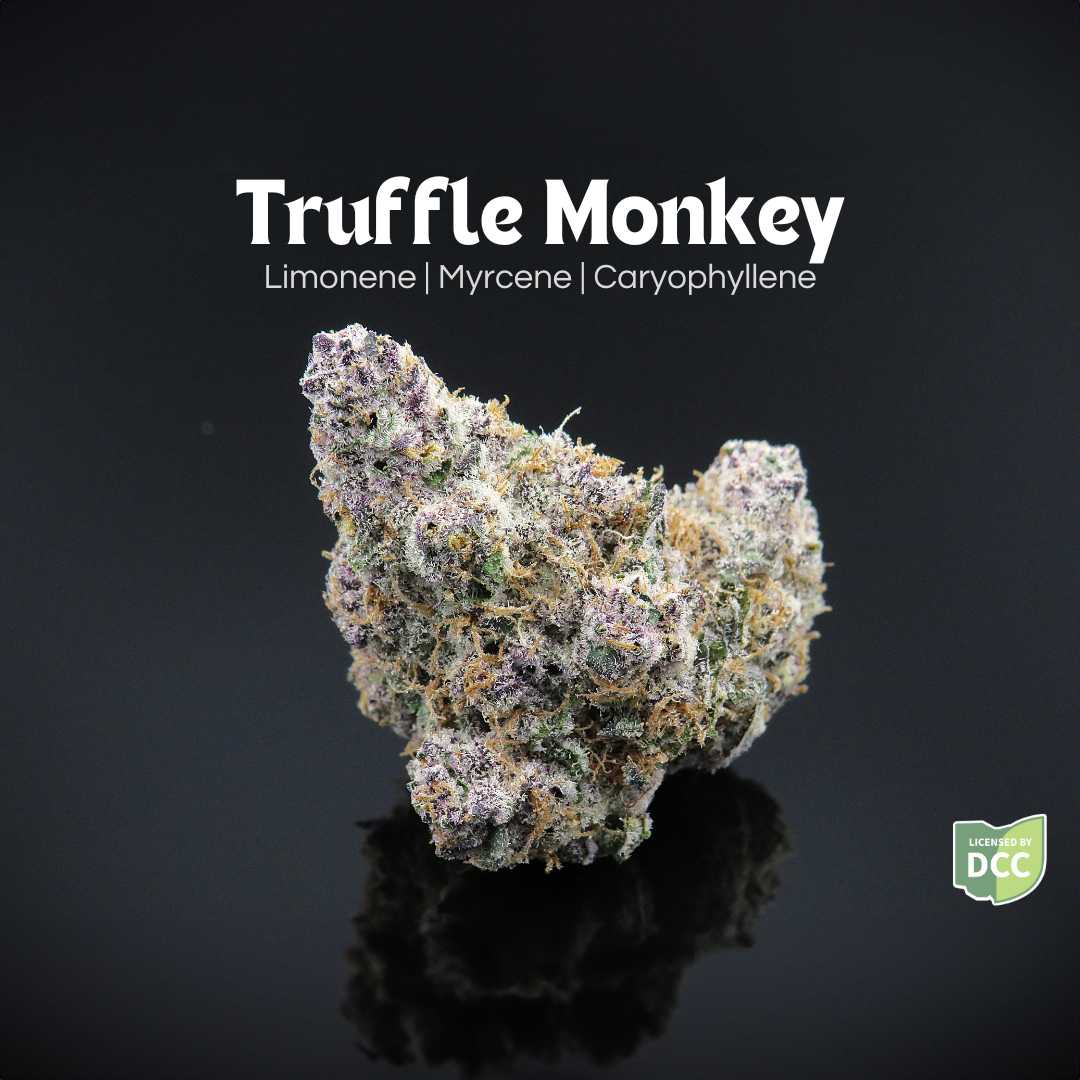 Truffle Monkey
