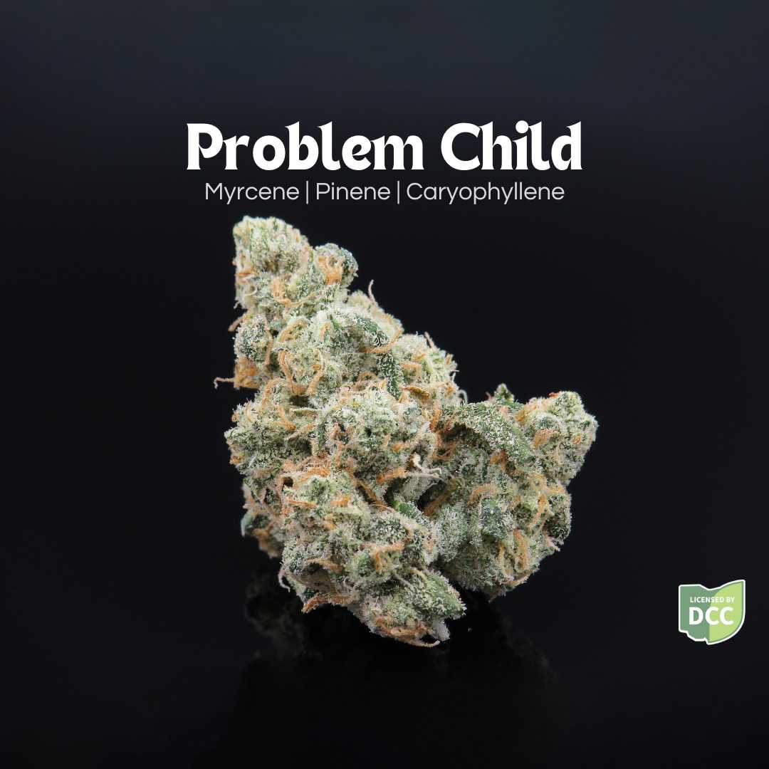Problem Child