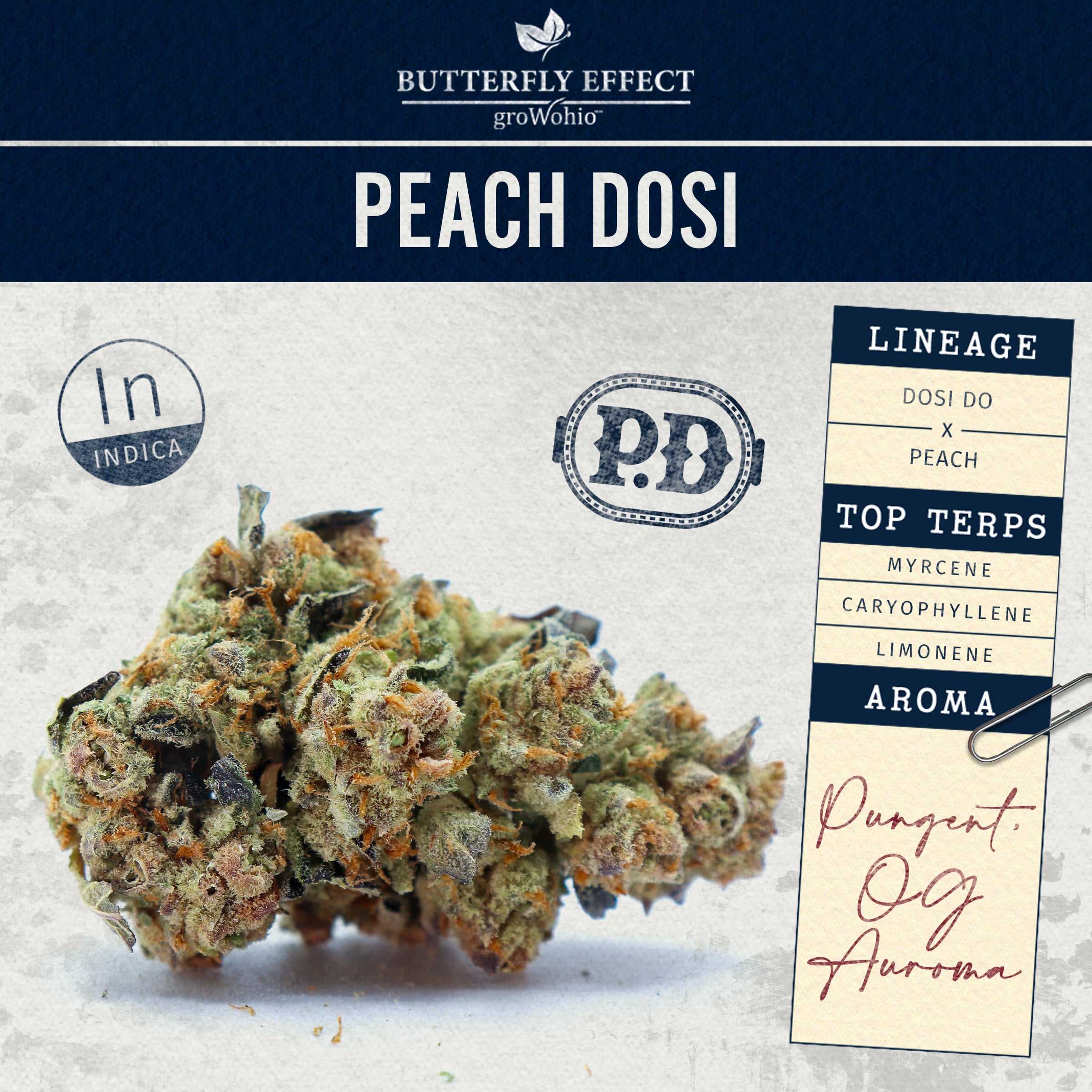 Peach Dosi