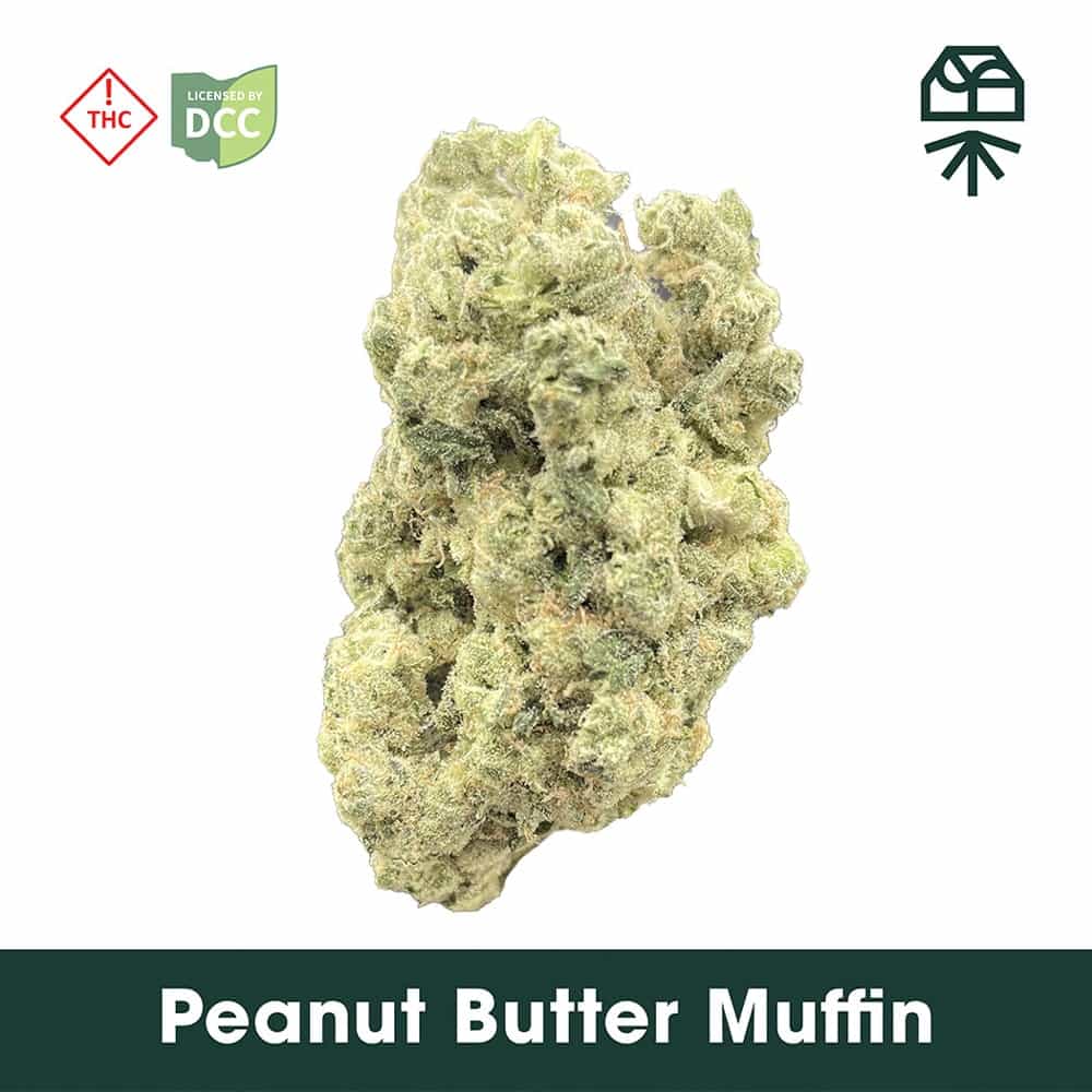 Peanut Butter Muffin