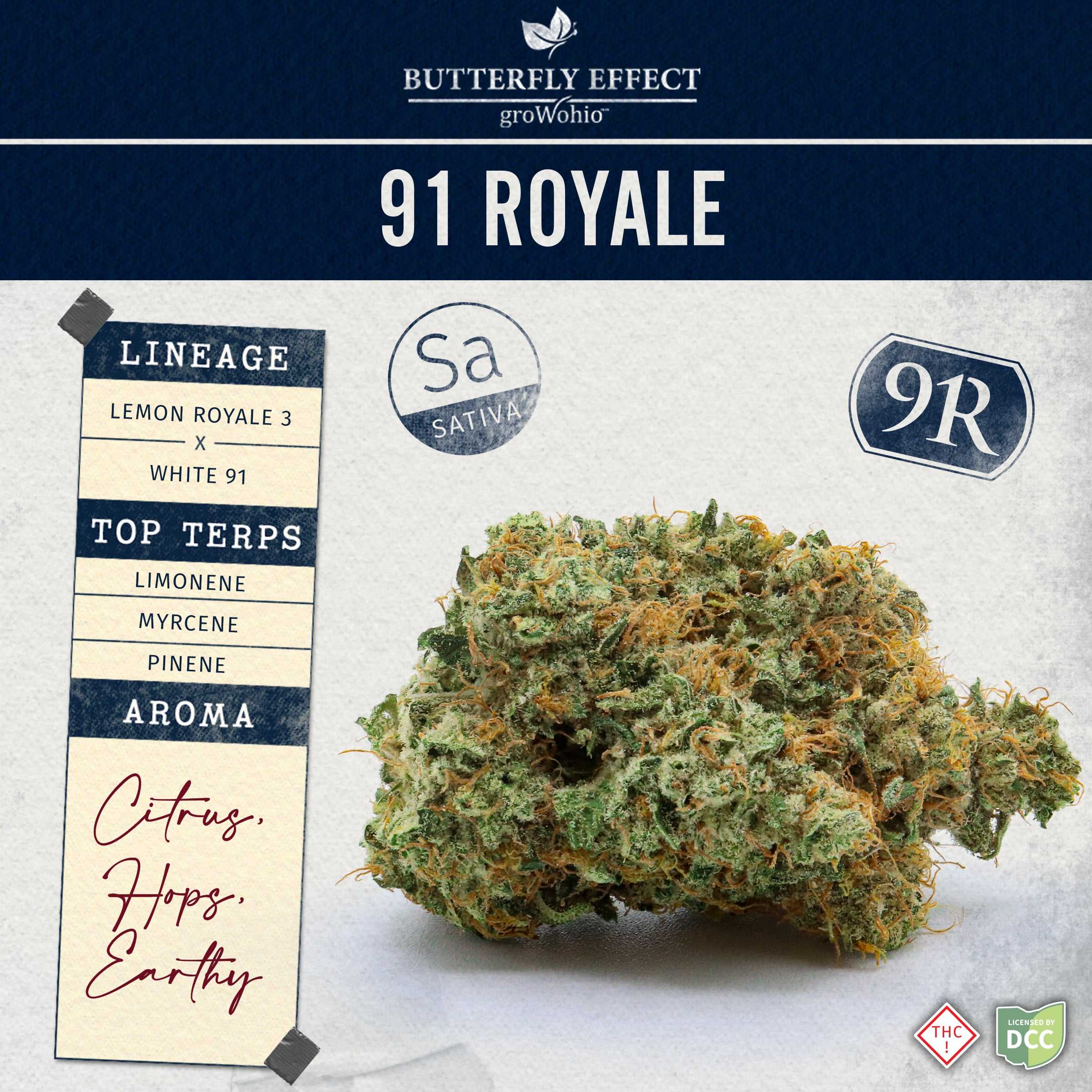 91 Royale