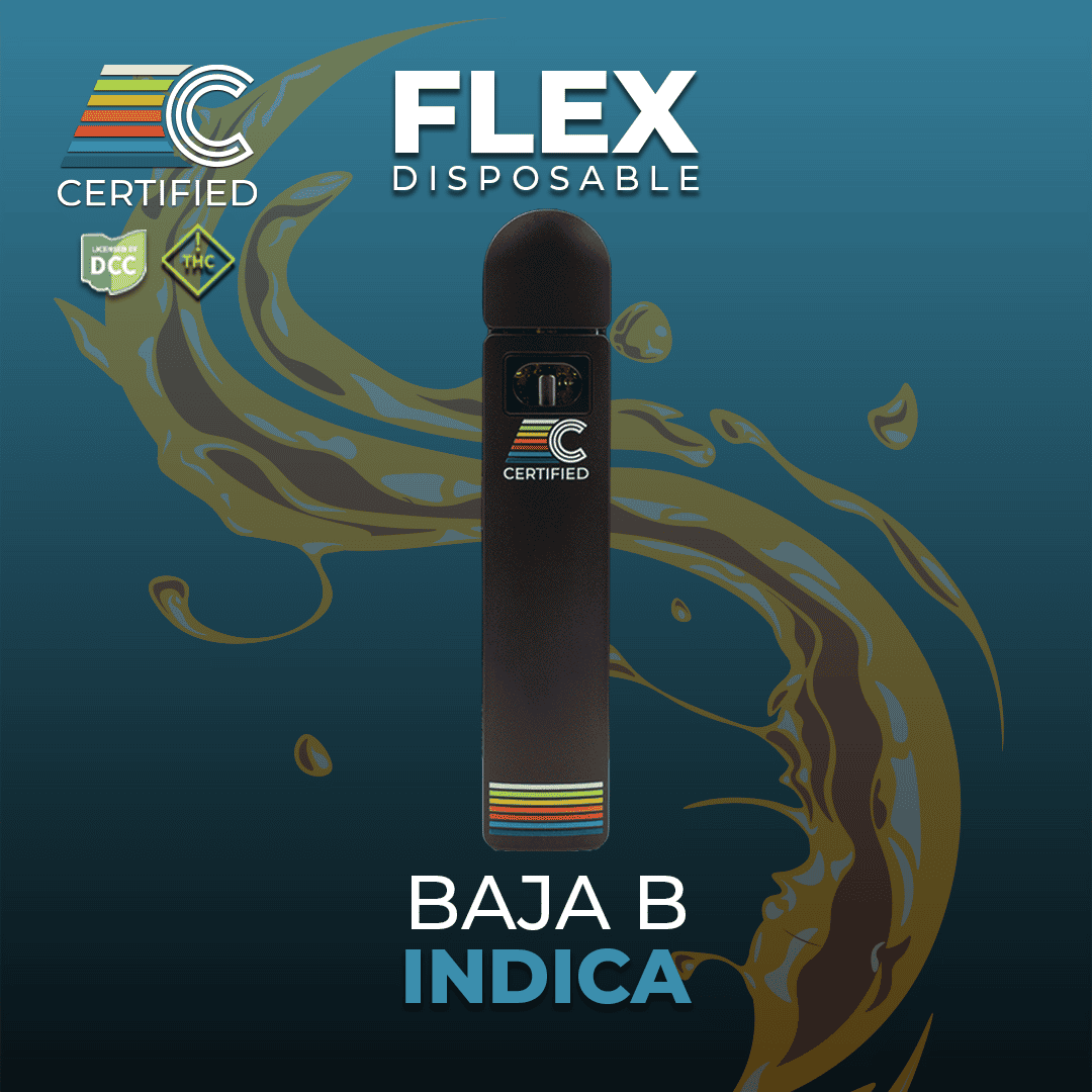 Baja B