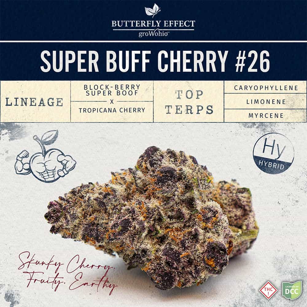 Super Buff Cherry #26