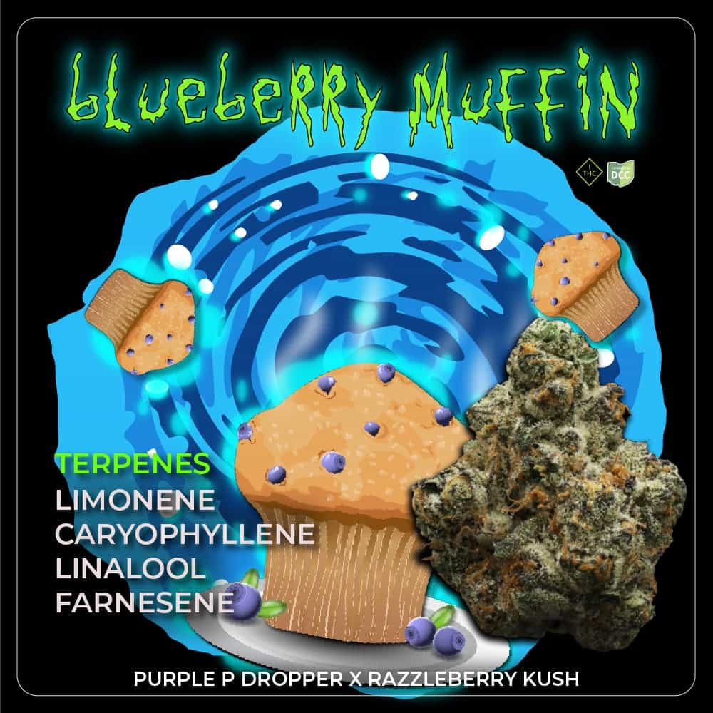 Blueberry Muffin #3