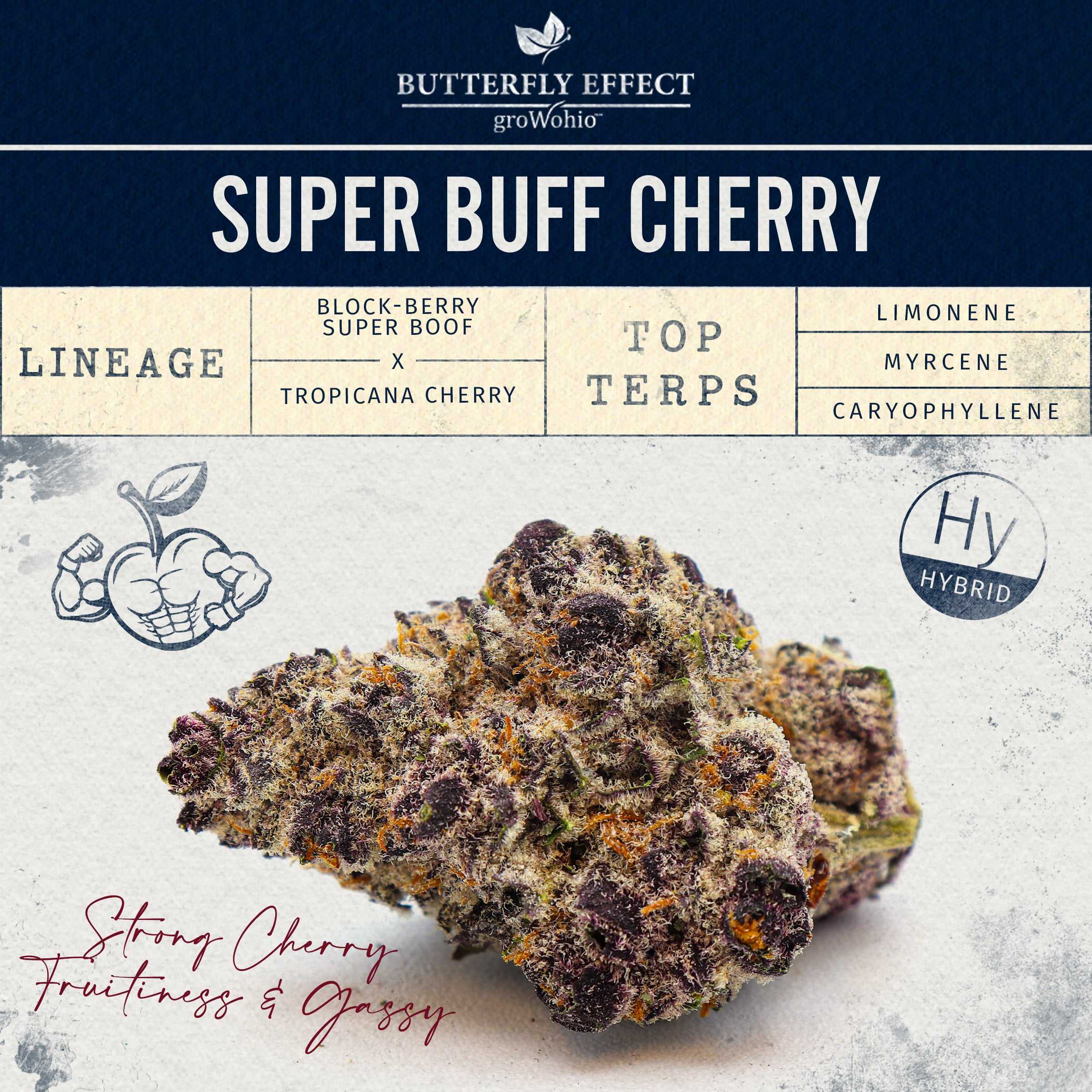 Super Buff Cherry #26