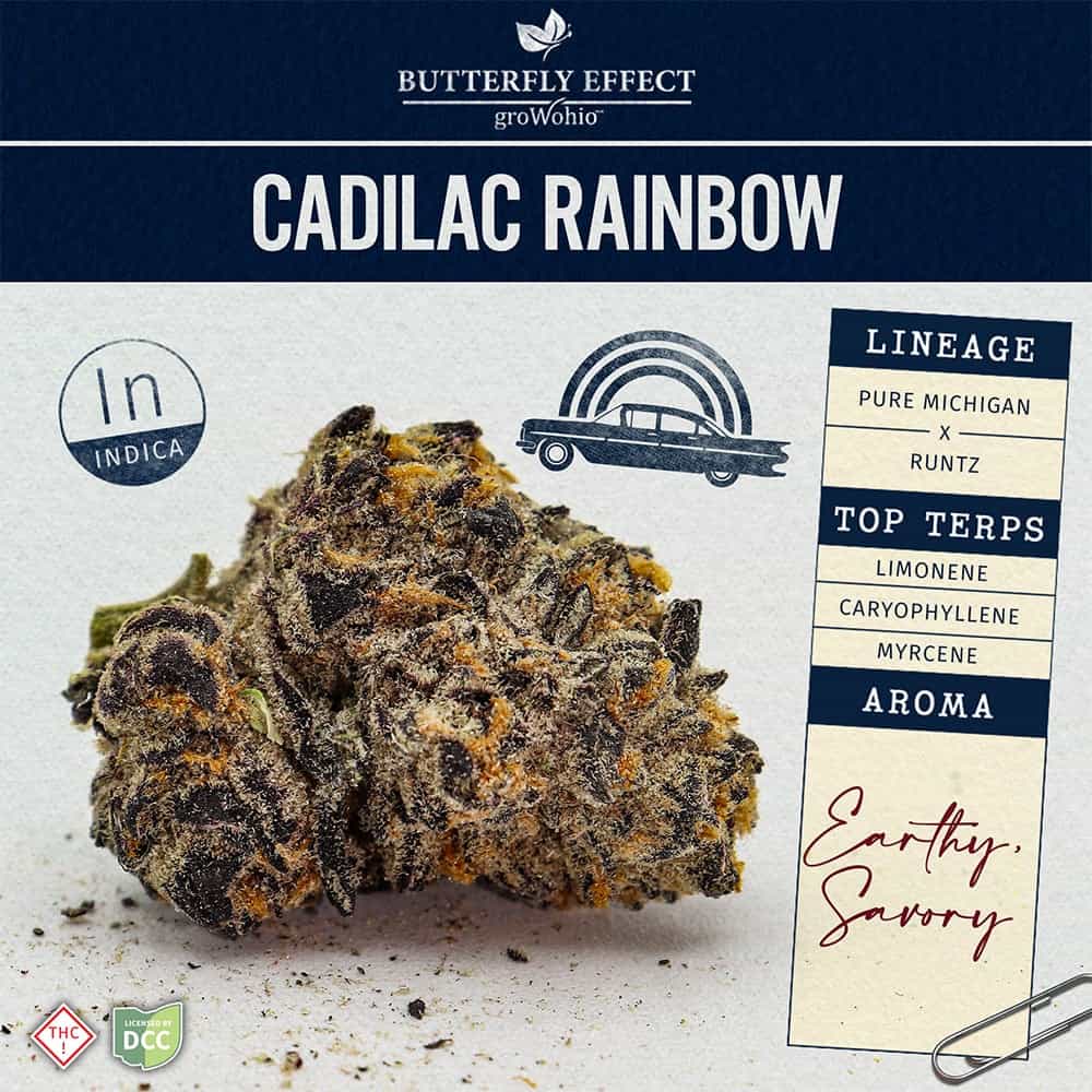 Cadilac Rainbow