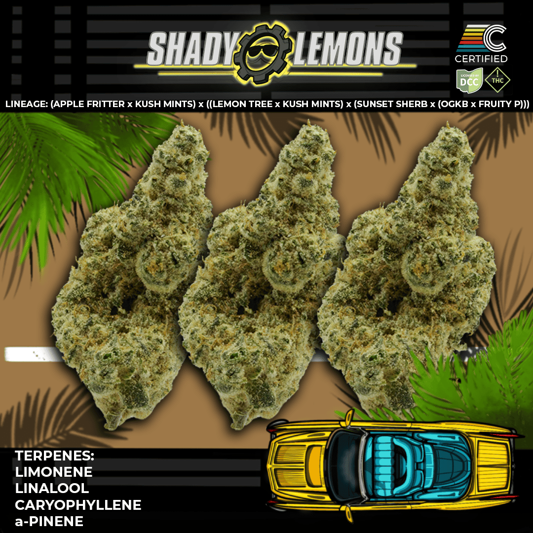 Shady Lemons