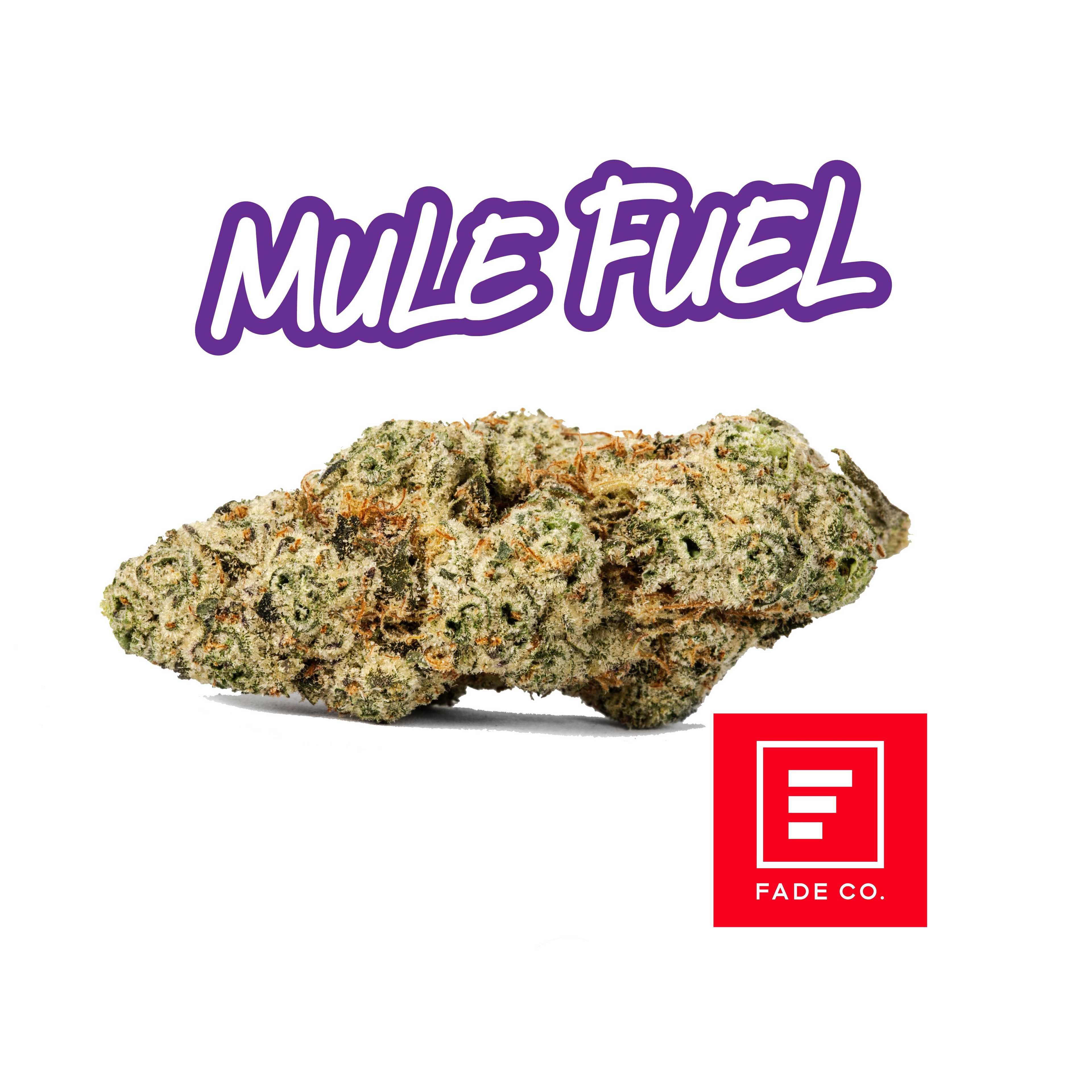 Mule Fuel