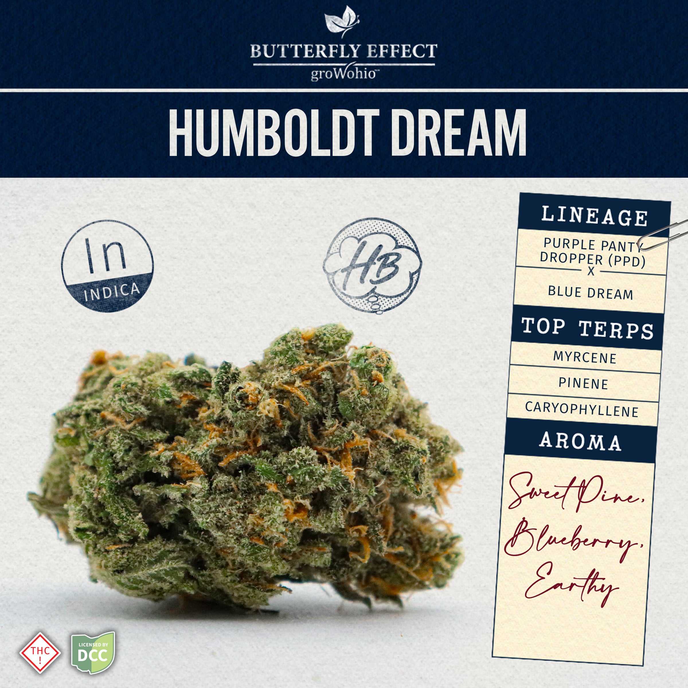 Humboldt Dream
