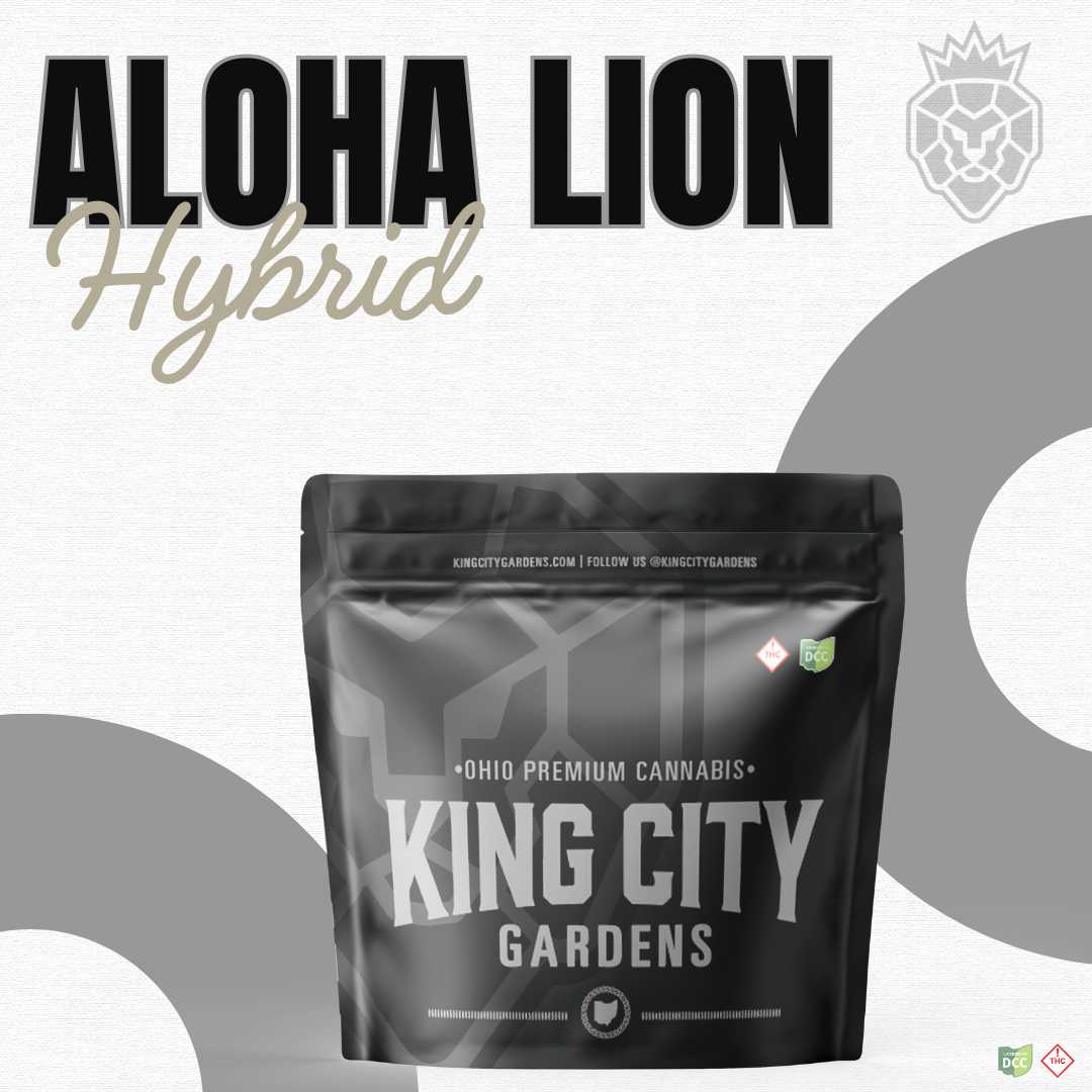 Aloha Lion