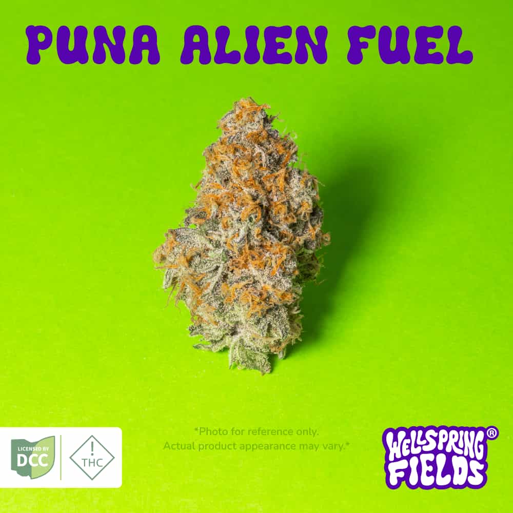 Puna Alien Fuel