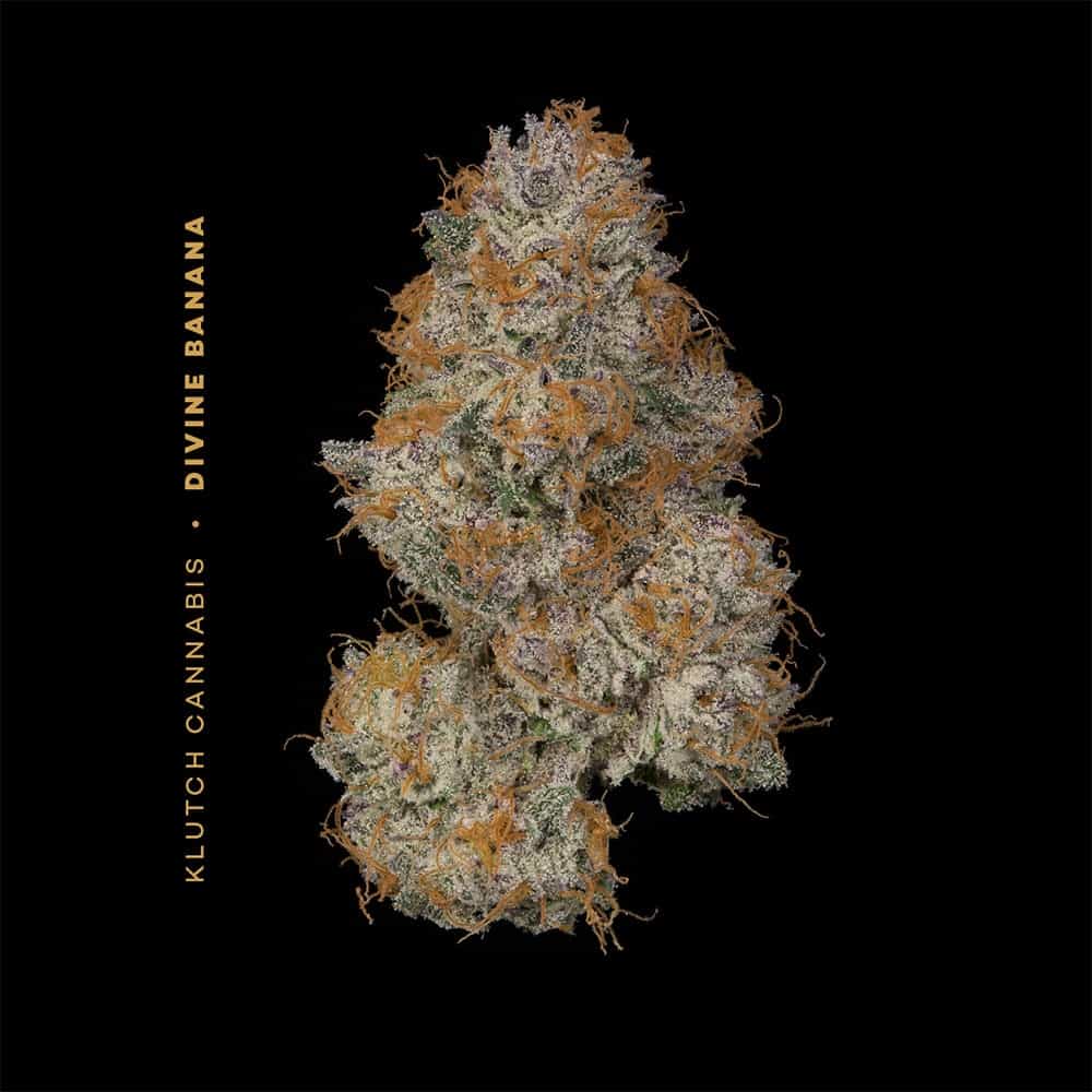 Divine Banana