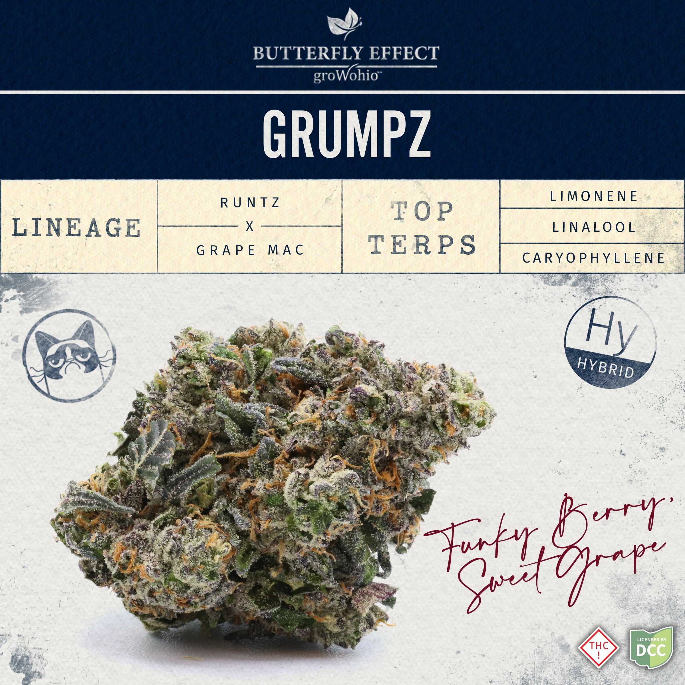 Grmpz