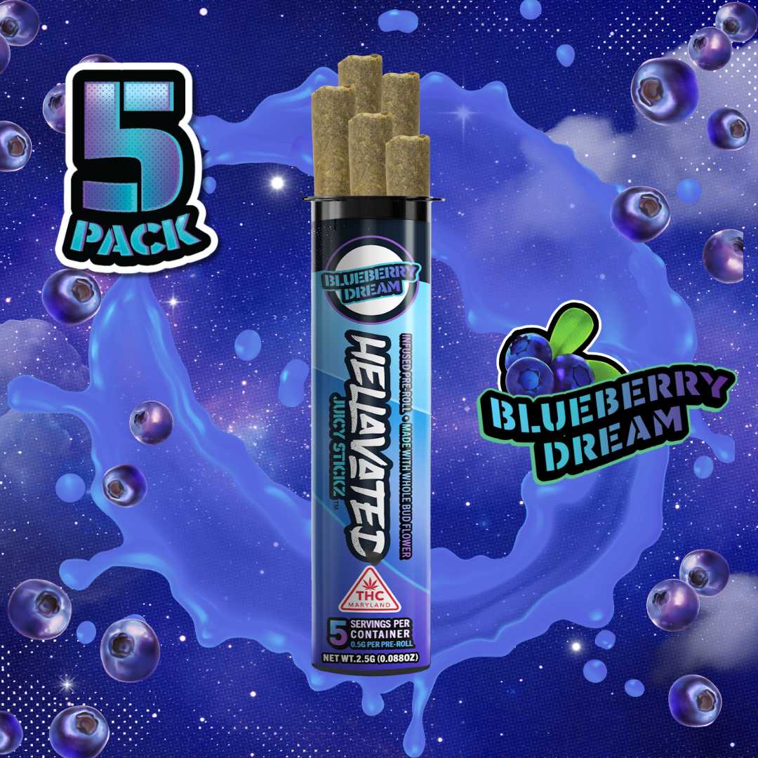 Blueberry Dream