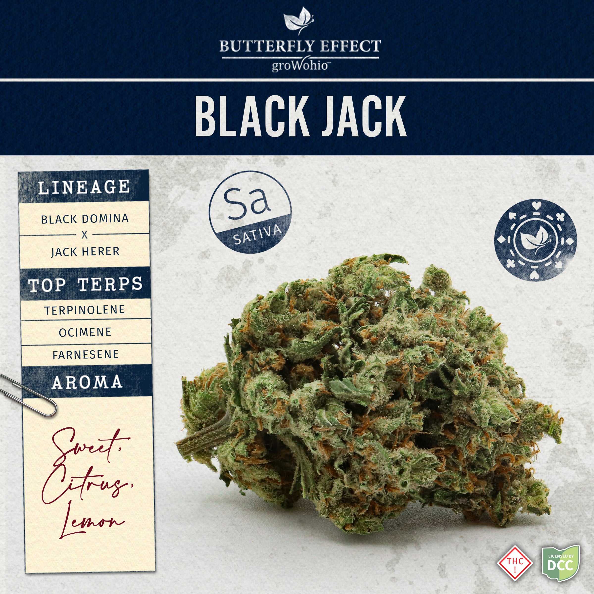 Black Jack