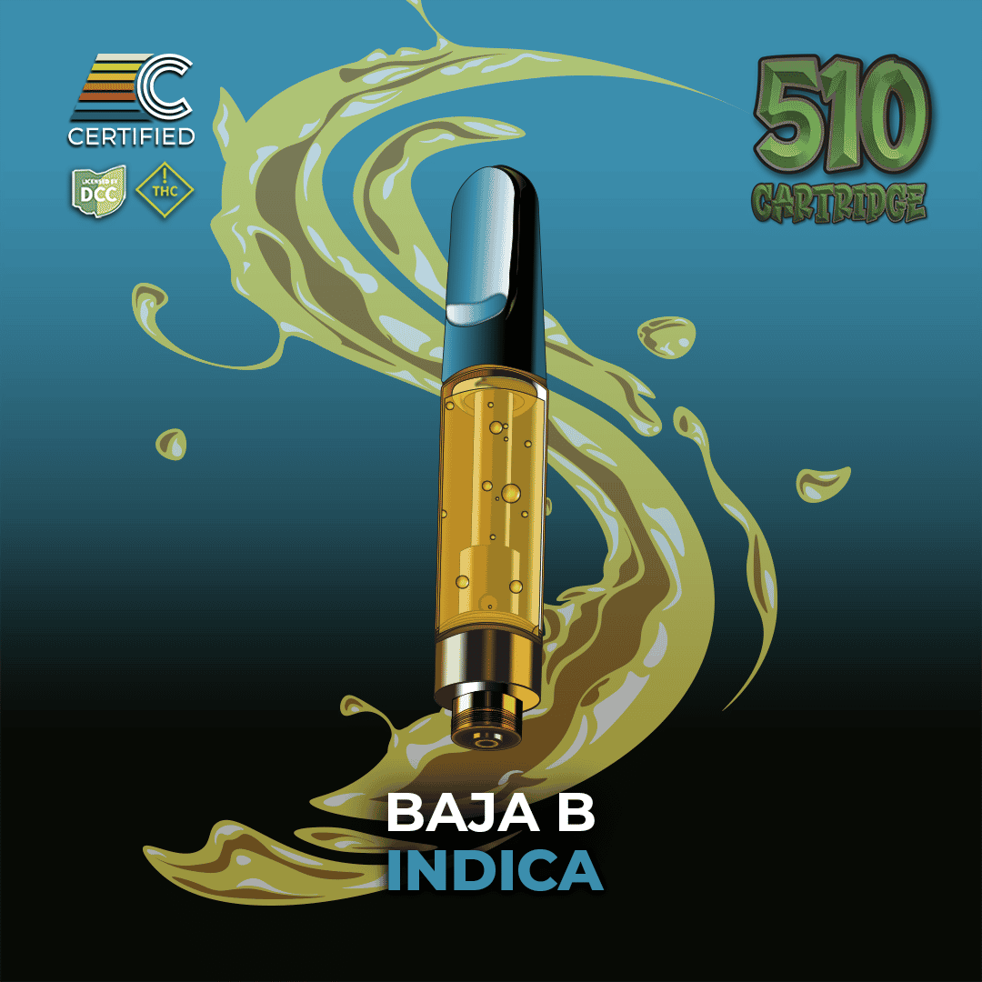 Baja B