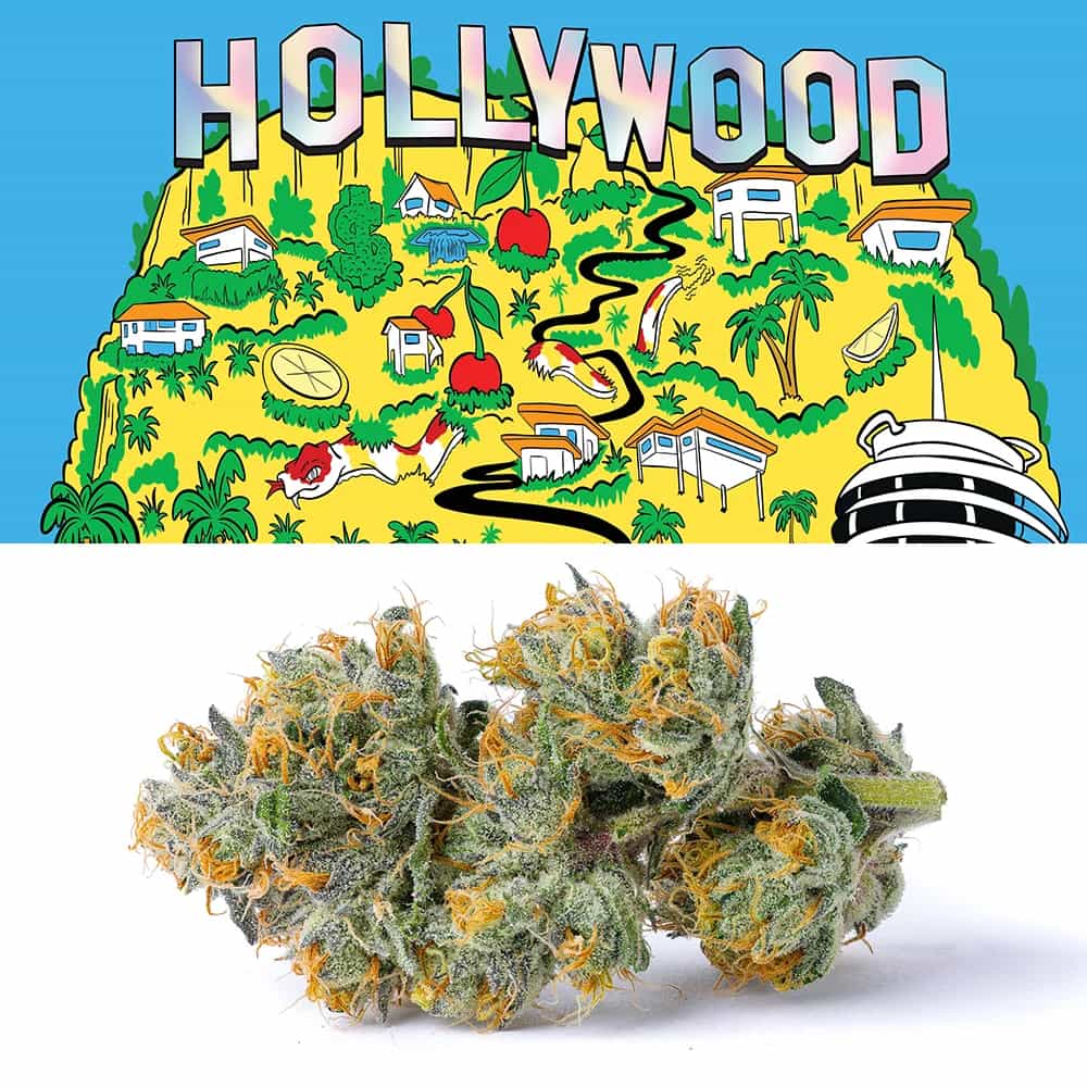 Hollywood