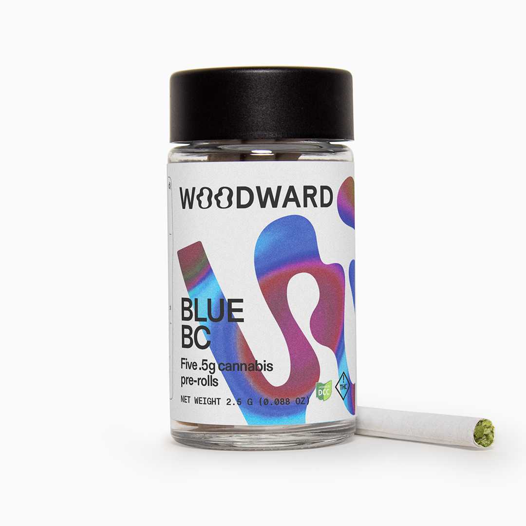 Blueberry Cheesecake