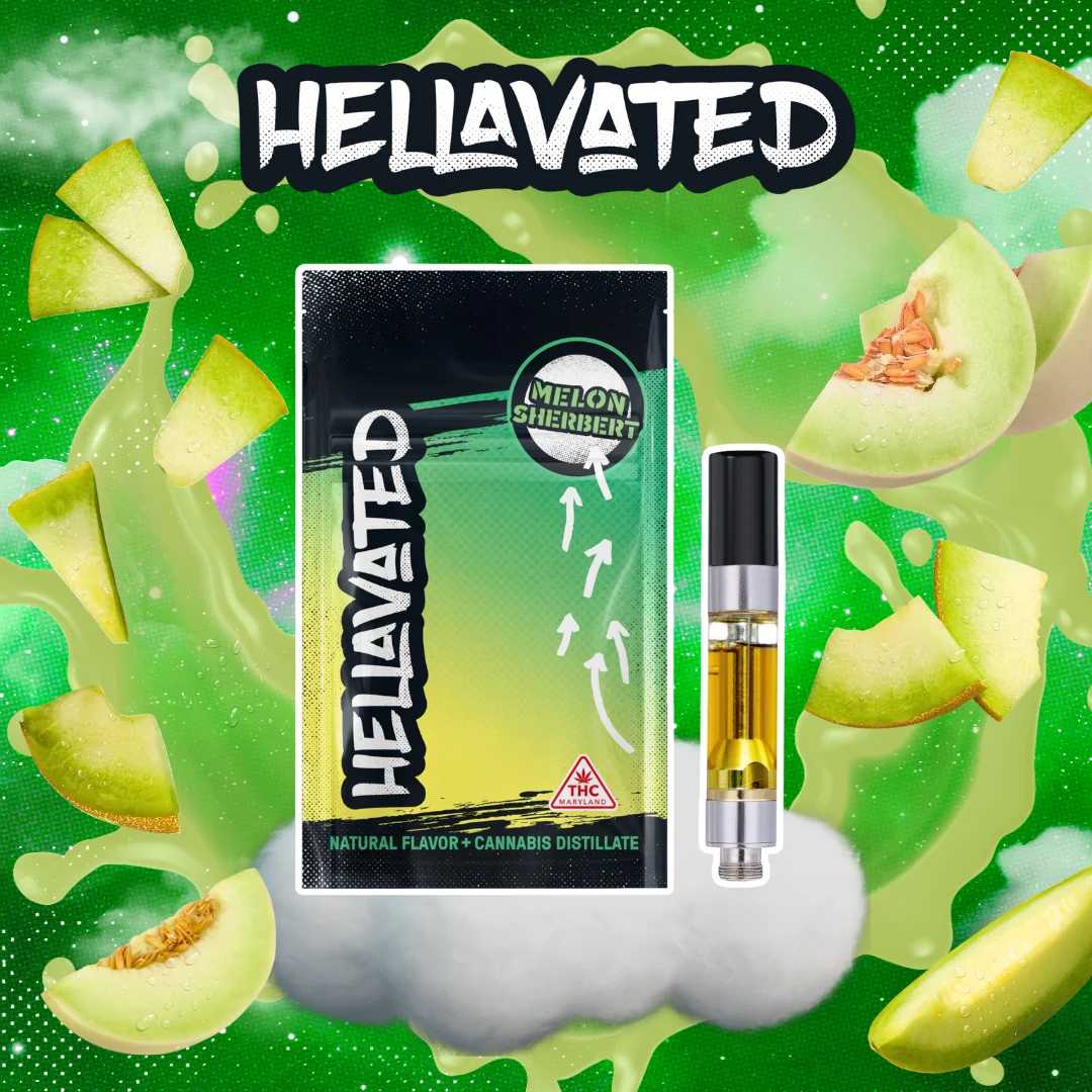 Melon Sherbert