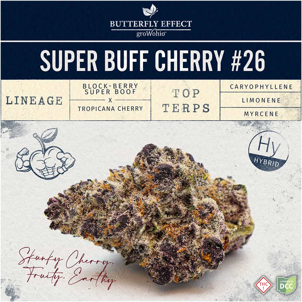 Super Buff Cherry #26