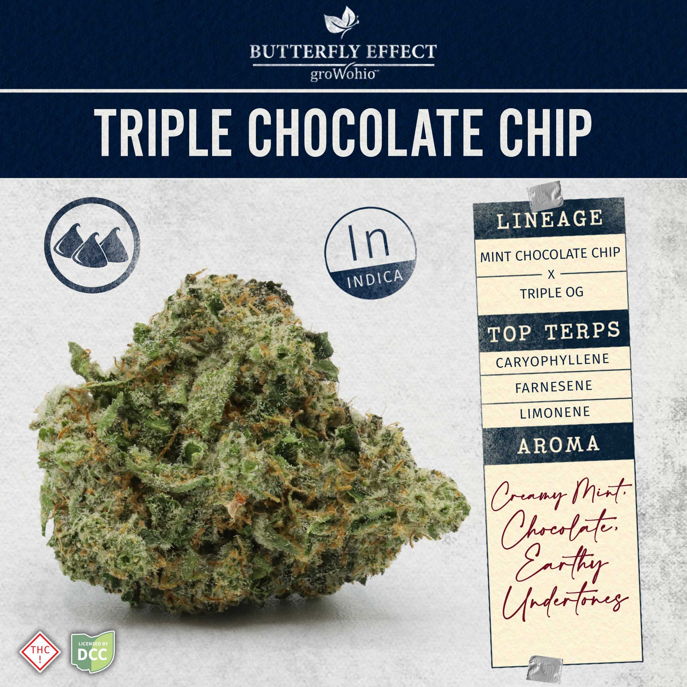 Triple Chocolate Chip