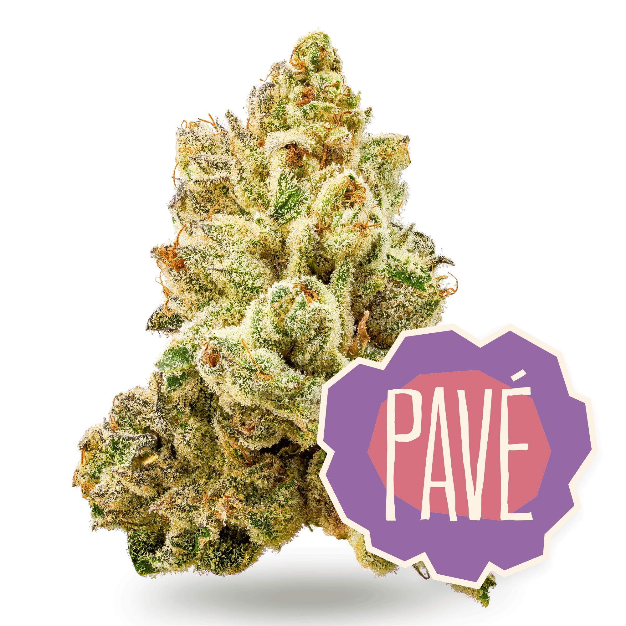 Pave