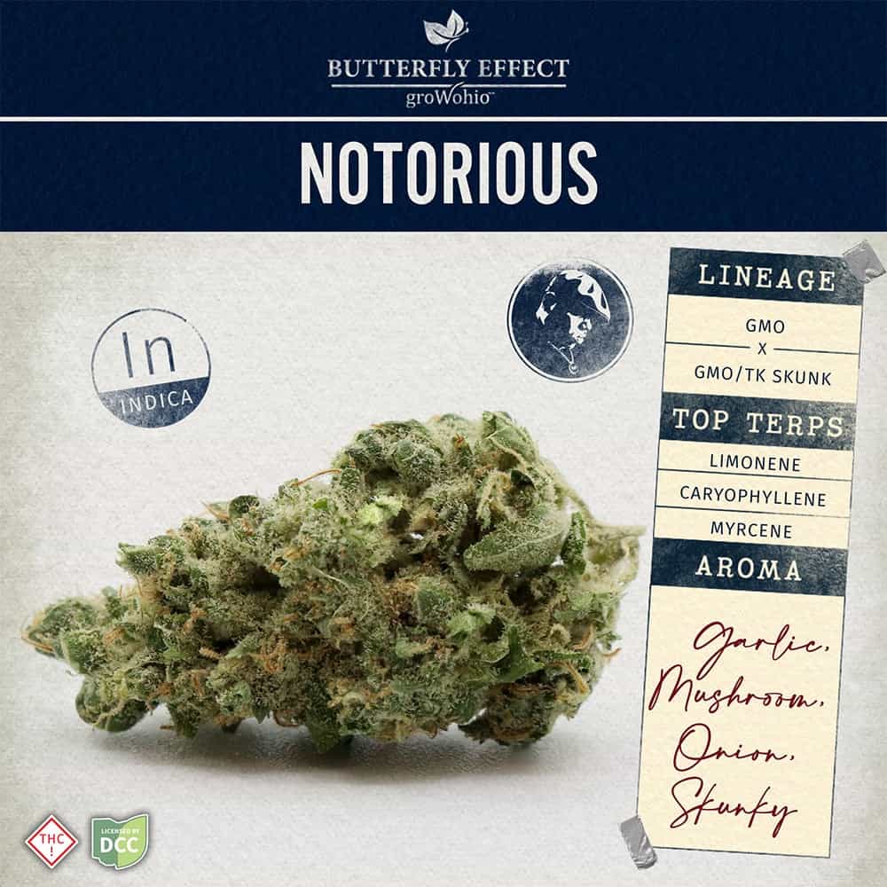Notorious