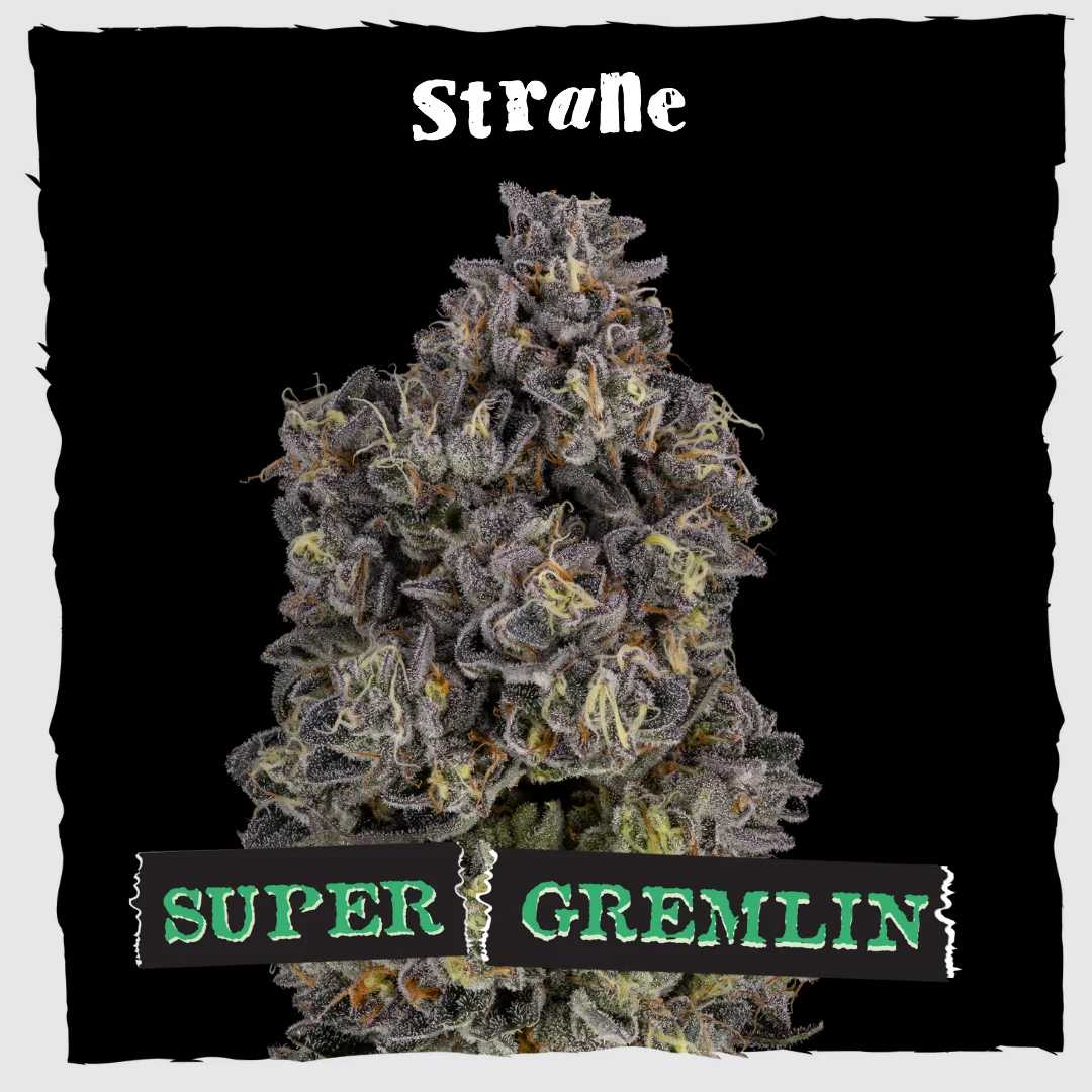 Super Gremlin
